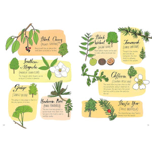 BOOK | NATURE ANATOMY: THE CURIOUS PARTS AND PIECES OF THE NATURE WORLD-Books & Stationery-HACHETTE BOOK GROUP-Coriander
