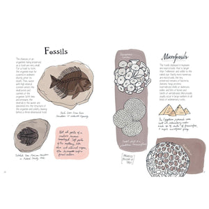 BOOK | NATURE ANATOMY: THE CURIOUS PARTS AND PIECES OF THE NATURE WORLD-Books & Stationery-HACHETTE BOOK GROUP-Coriander