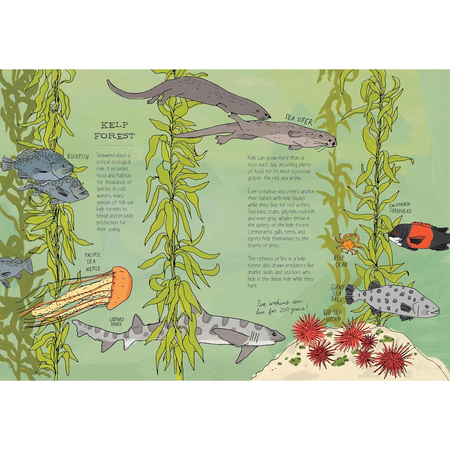 BOOK | OCEAN ANATOMY: CURIOUS PARTS AND PIECES OF THE OCEAN-Books & Stationery-HACHETTE BOOK GROUP-Coriander