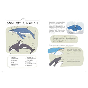 BOOK | OCEAN ANATOMY: CURIOUS PARTS AND PIECES OF THE OCEAN-Books & Stationery-HACHETTE BOOK GROUP-Coriander