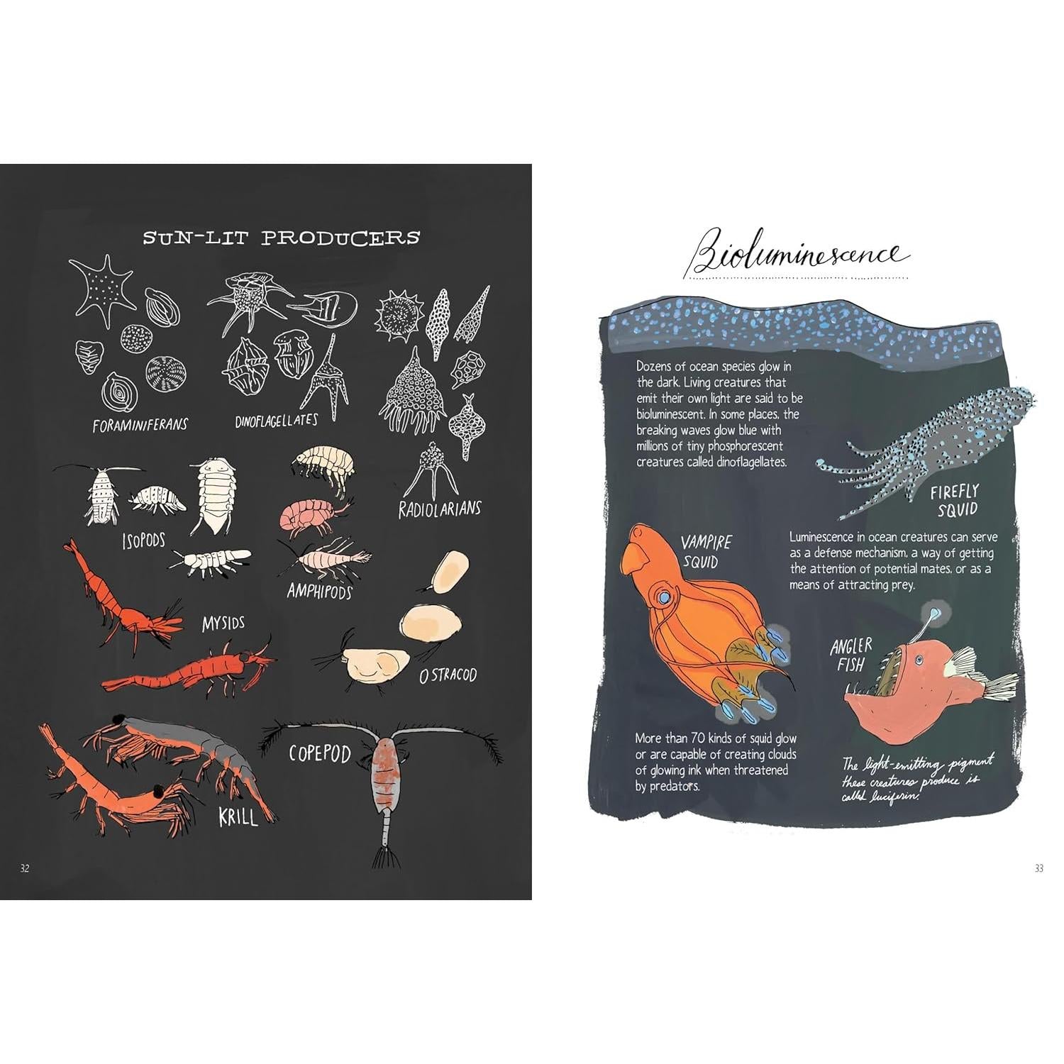 BOOK | OCEAN ANATOMY: CURIOUS PARTS AND PIECES OF THE OCEAN-Books & Stationery-HACHETTE BOOK GROUP-Coriander