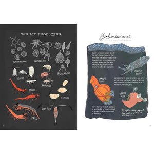 BOOK | OCEAN ANATOMY: CURIOUS PARTS AND PIECES OF THE OCEAN-Books & Stationery-HACHETTE BOOK GROUP-Coriander