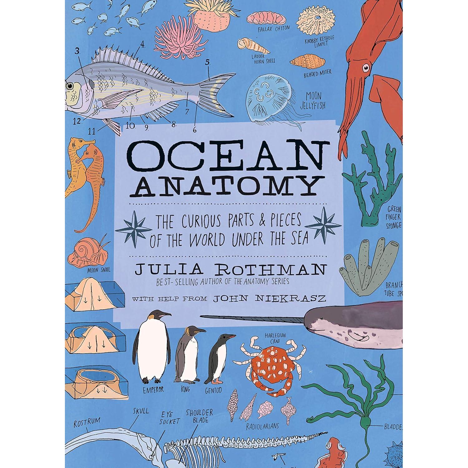 BOOK | OCEAN ANATOMY: CURIOUS PARTS AND PIECES OF THE OCEAN-Books & Stationery-HACHETTE BOOK GROUP-Coriander