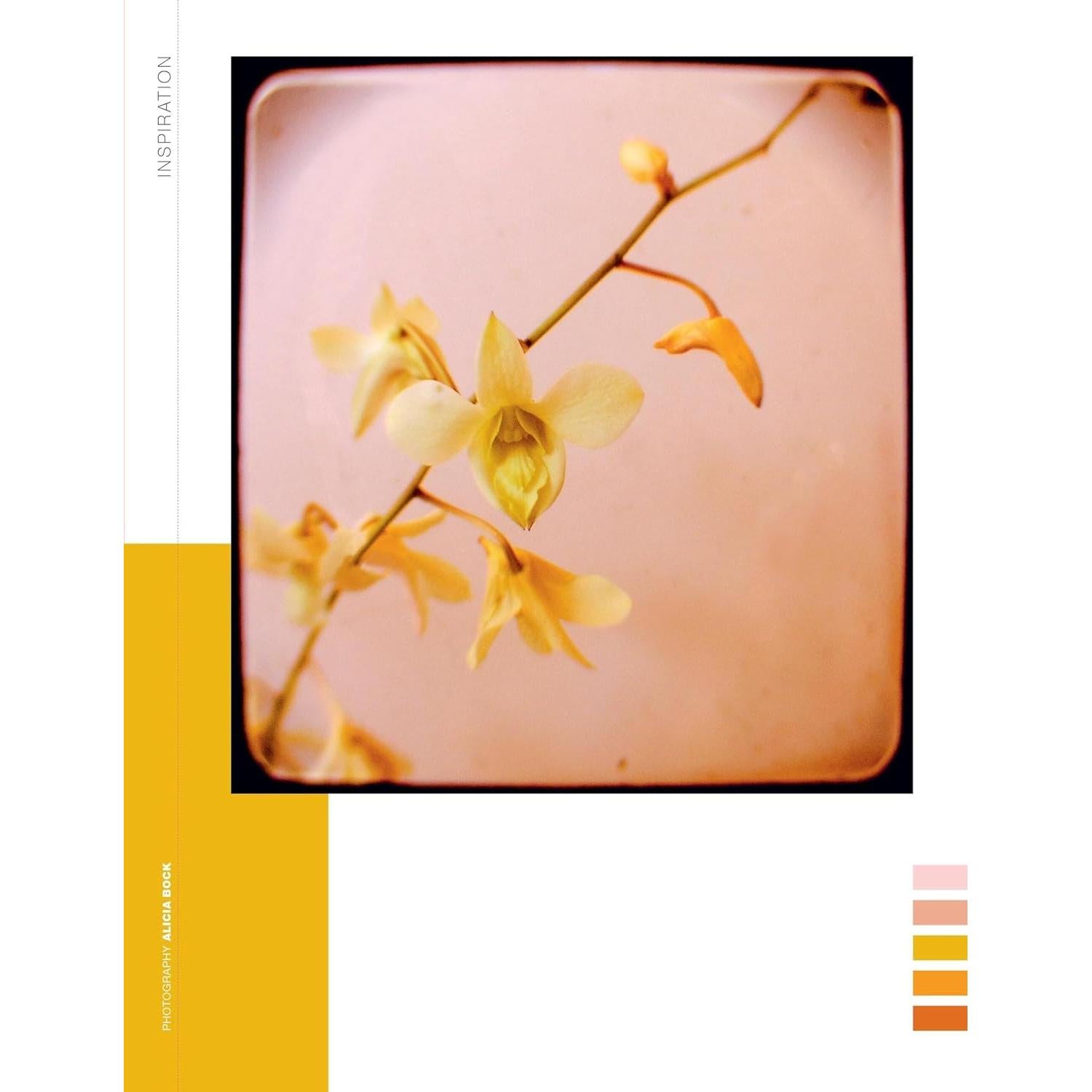 BOOK | PAPER BOOK FOR NATURE LOVERS-Books & Stationery-HACHETTE BOOK GROUP-Coriander