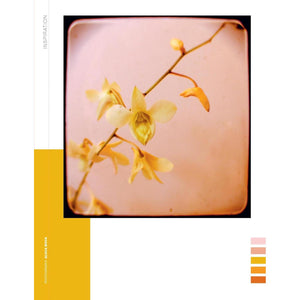 BOOK | PAPER BOOK FOR NATURE LOVERS-Books & Stationery-HACHETTE BOOK GROUP-Coriander