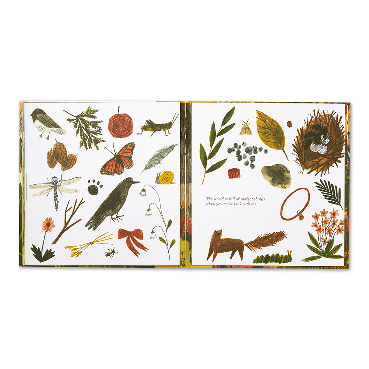 BOOK | TINY PERFECT THINGS-Book-COMPENDIUM-Coriander