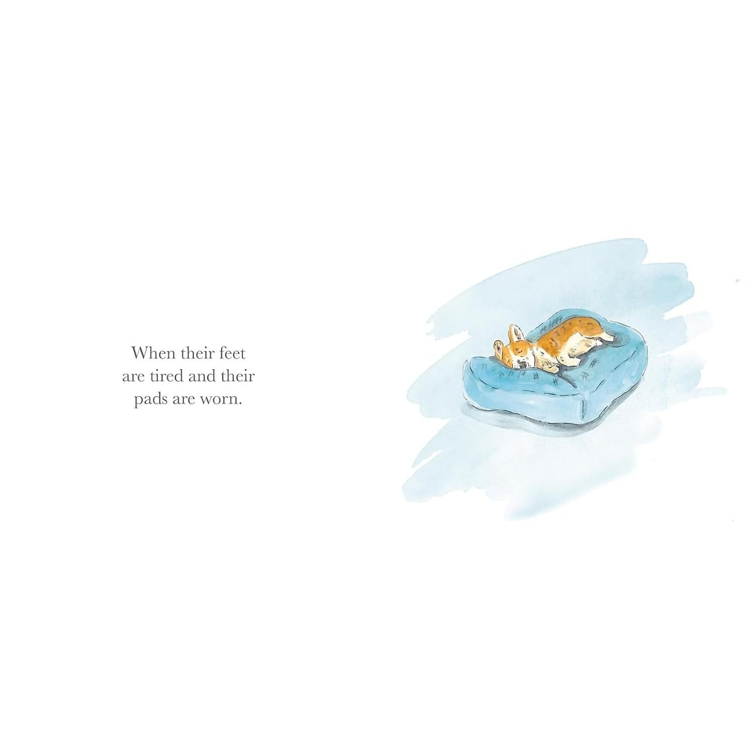 BOOK | WHAT DO YOU DO WHEN YOUR DOG GROWS OLD?-Books & Stationery-HACHETTE BOOK GROUP-Coriander