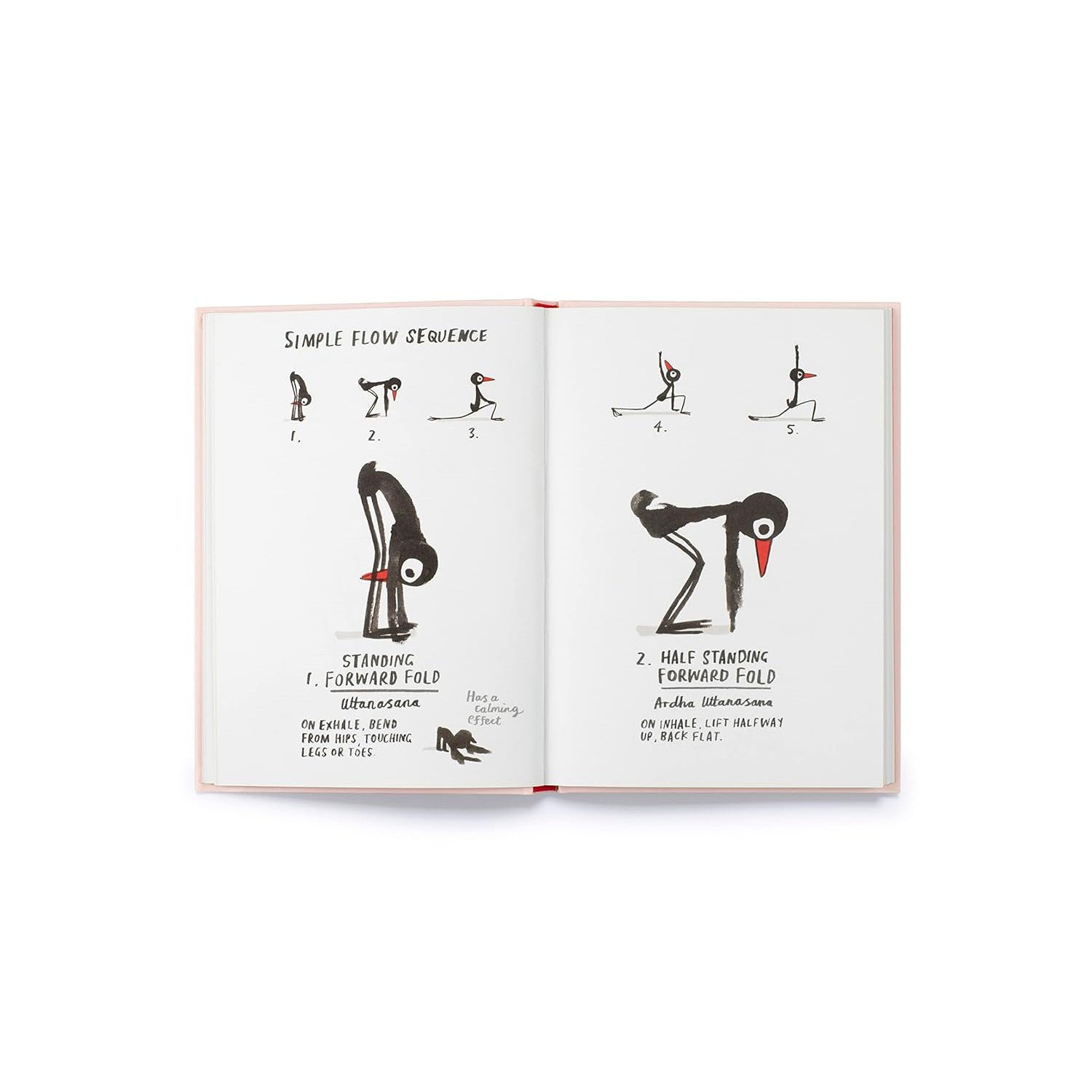 BOOK | YOGA FOR STIFF BIRDS-Books & Stationery-HACHETTE BOOK GROUP-Coriander