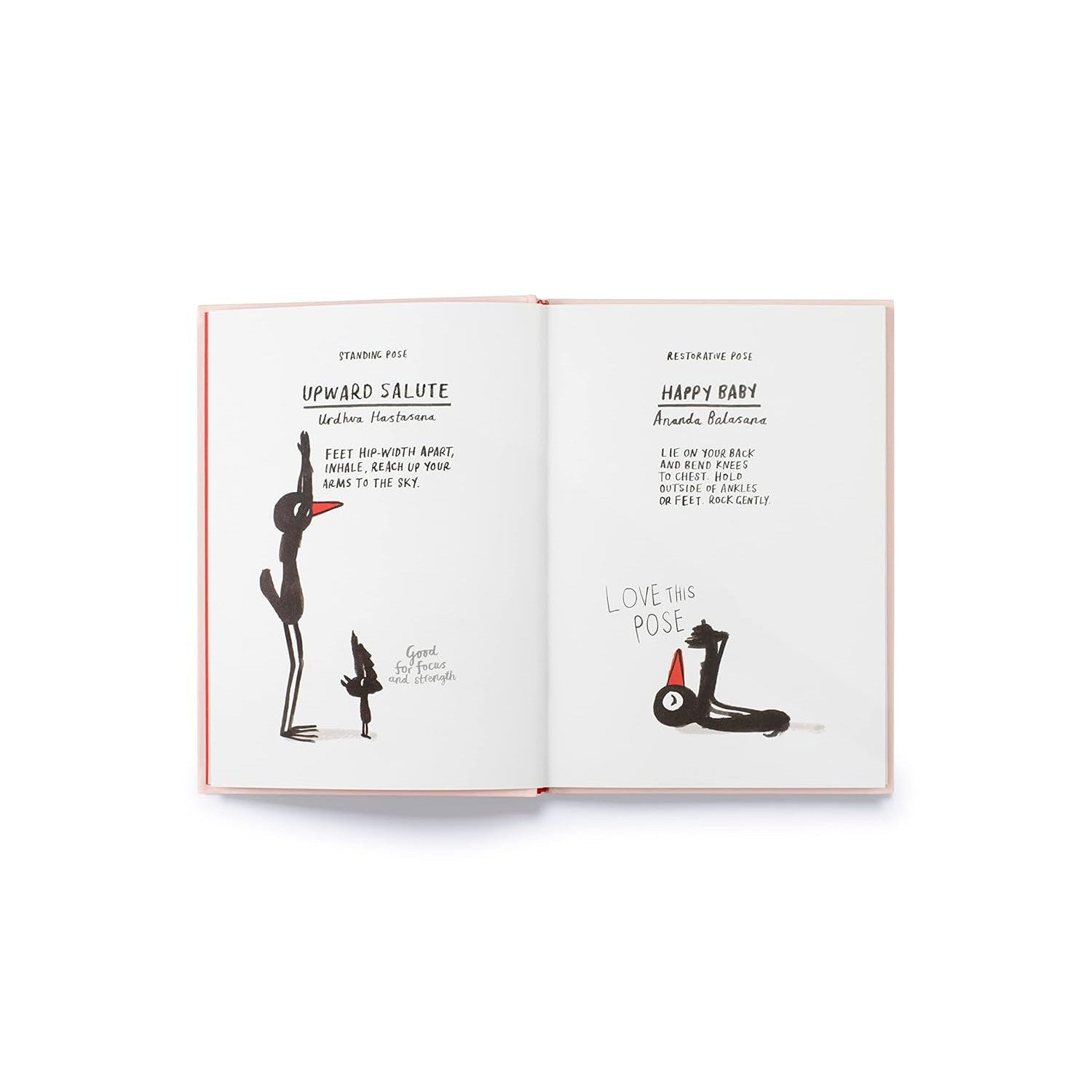 BOOK | YOGA FOR STIFF BIRDS-Books & Stationery-HACHETTE BOOK GROUP-Coriander