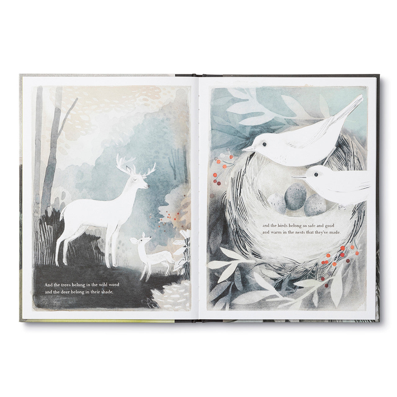 BOOK | YOU BELONG HERE-Book-COMPENDIUM-Coriander