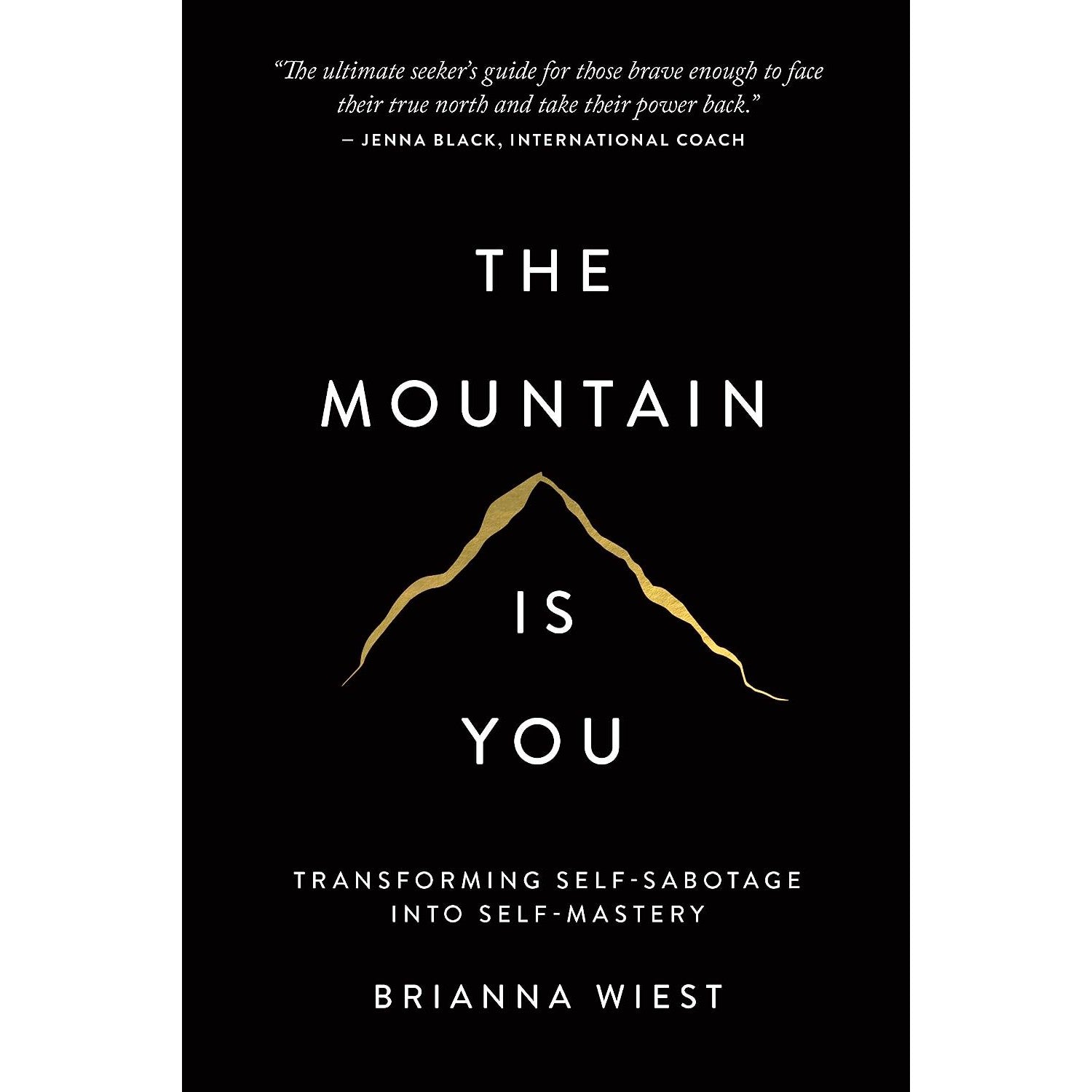 BRIANNA WIEST | THE MOUNTAIN IS YOU-Books & Stationery-BRIANNA WIEST-Coriander