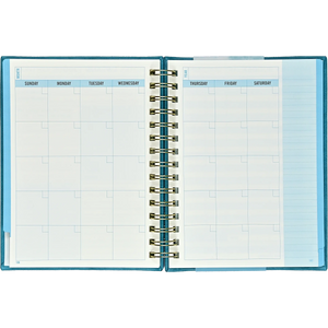 BUDGET PLANNER-Books & Stationery-PETER PAUPER PRESS-Coriander