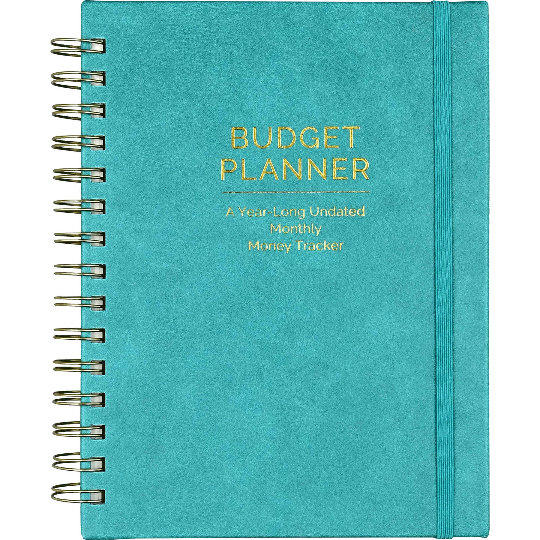 BUDGET PLANNER-Books & Stationery-PETER PAUPER PRESS-Coriander