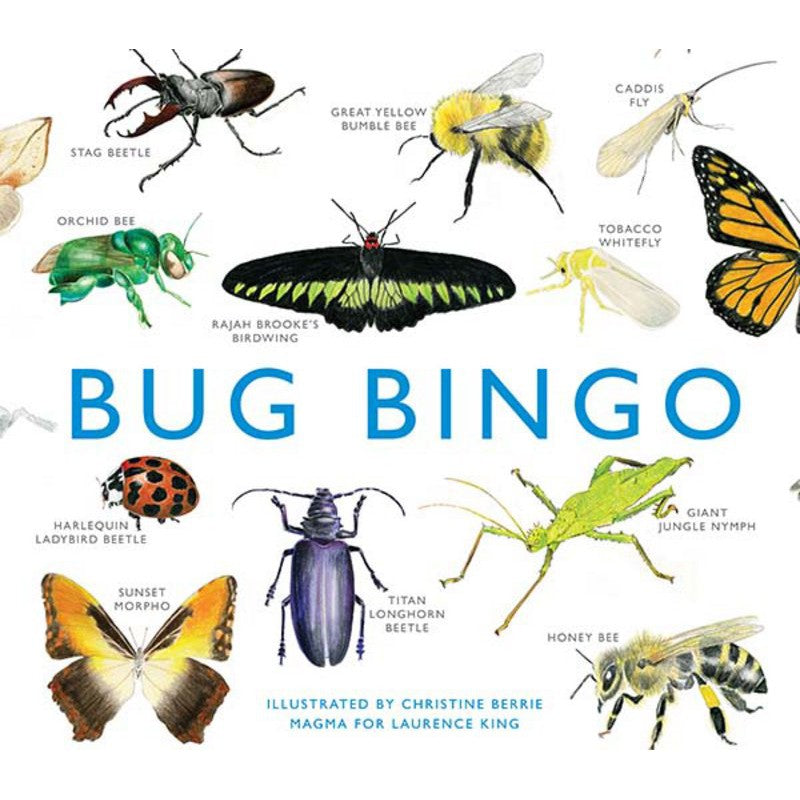 BUG BINGO GAME-Fun and Games-RAINCOAST-Coriander