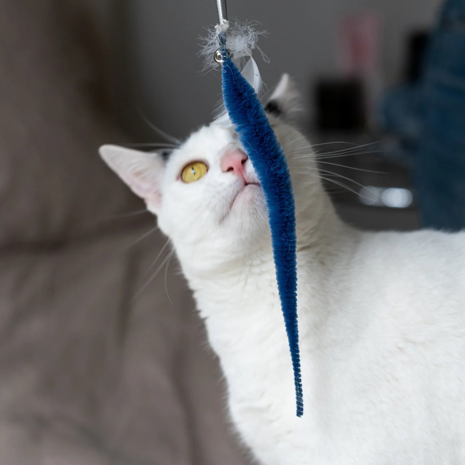 CAT TOY | KITTY TEASER WAND-Fun and Games-KIKKERLAND DESIGNS-Coriander