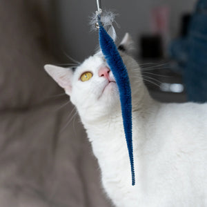 CAT TOY | KITTY TEASER WAND-Fun and Games-KIKKERLAND DESIGNS-Coriander