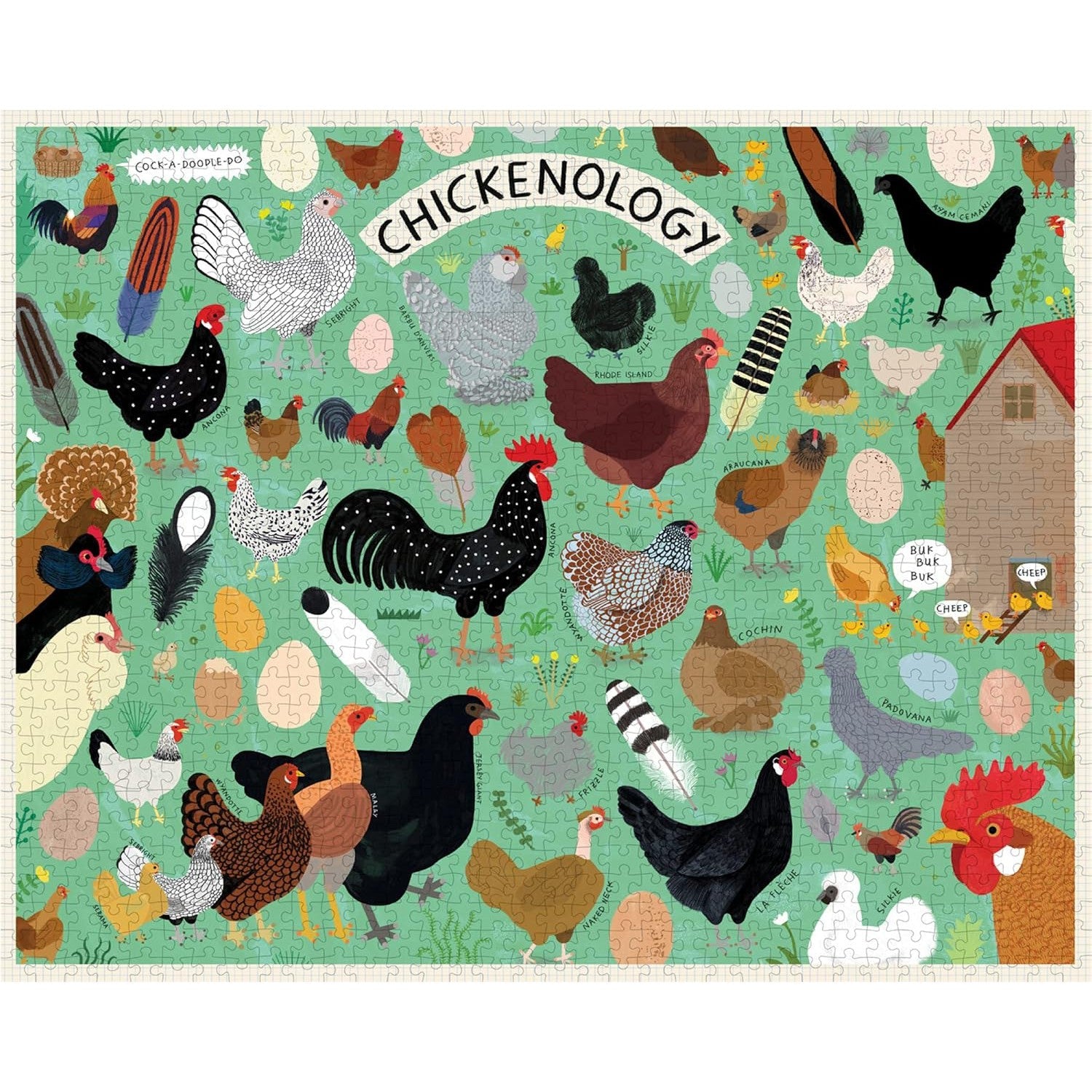 CHICKENOLOGY 1 000 PIECE PUZZLE-Fun and Games-RAINCOAST-Coriander