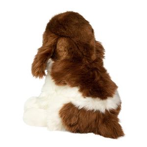 CHIP THE SPRINGER SPANIEL-Stuffies-DOUGLAS-Coriander