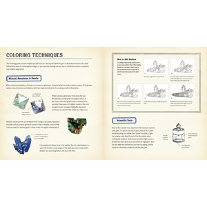 COLOURING BOOK | CURIOUS NATURE-Uncategorised-RAINCOAST-Coriander