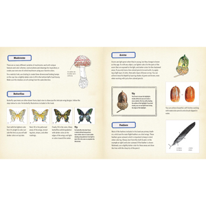 COLOURING BOOK | CURIOUS NATURE-Uncategorised-RAINCOAST-Coriander