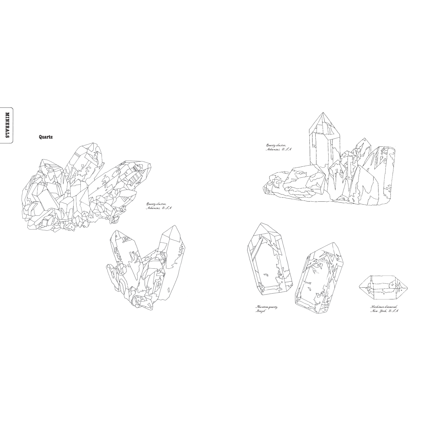 COLOURING BOOK | CURIOUS NATURE-Uncategorised-RAINCOAST-Coriander