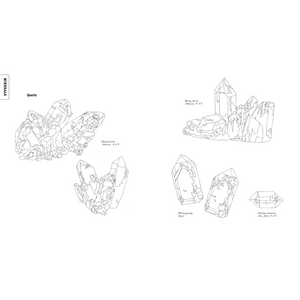 COLOURING BOOK | CURIOUS NATURE-Uncategorised-RAINCOAST-Coriander