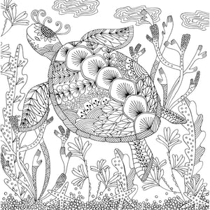 COLOURING BOOK | FOLLOW YOUR DREAMS-Books & Stationery-PETER PAUPER PRESS-Coriander