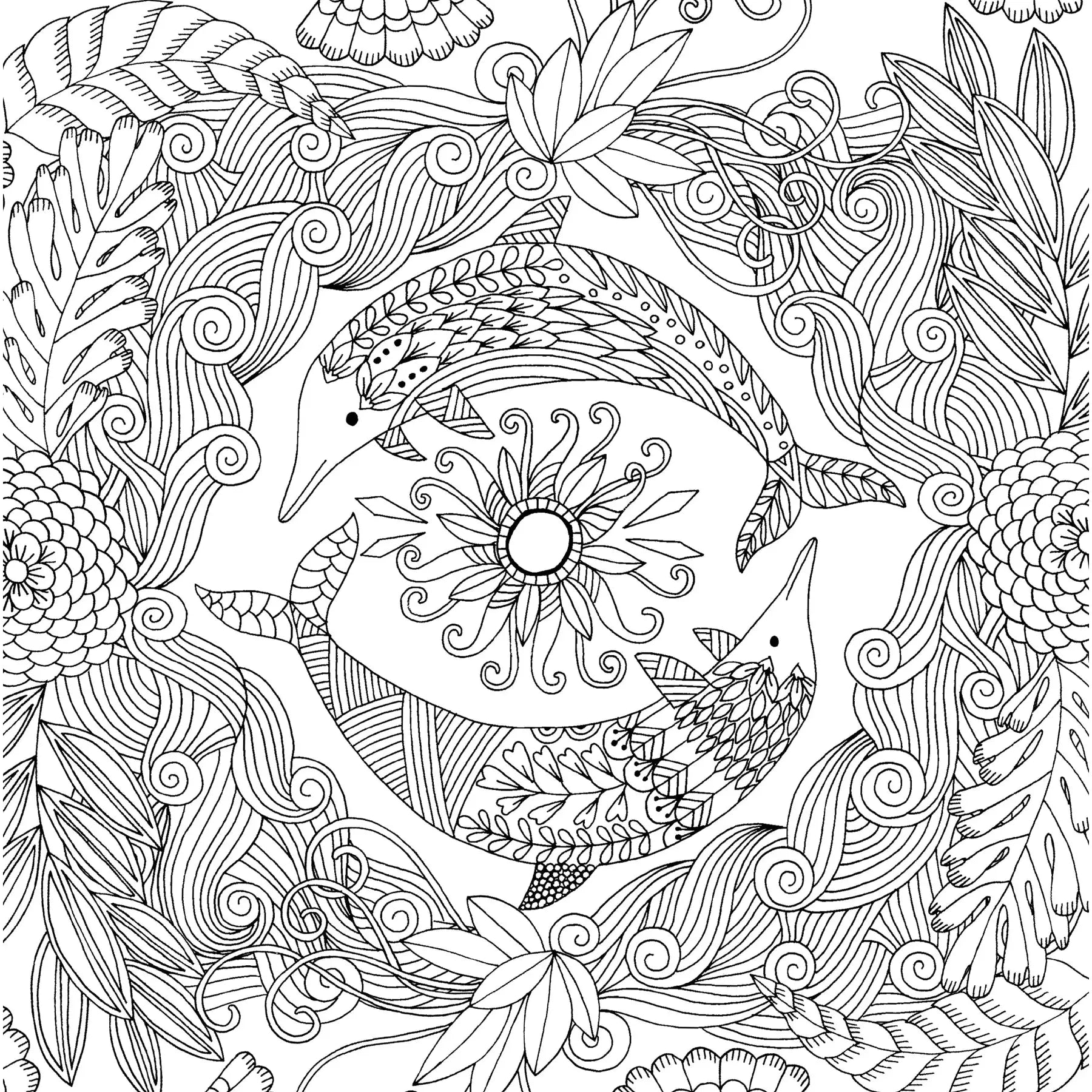 COLOURING BOOK | FOLLOW YOUR DREAMS-Books & Stationery-PETER PAUPER PRESS-Coriander