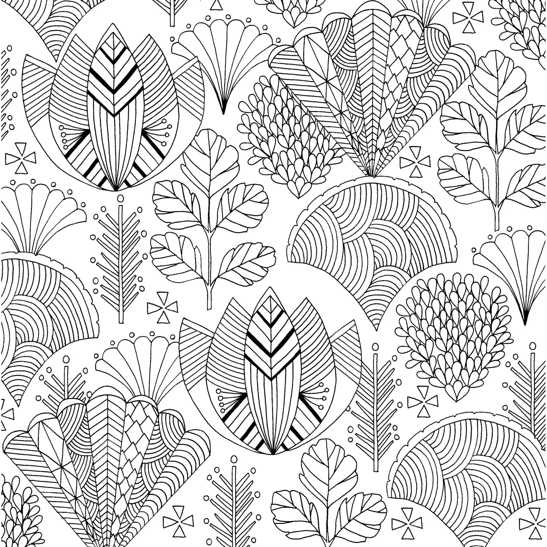 COLOURING BOOK | FOLLOW YOUR DREAMS-Books & Stationery-PETER PAUPER PRESS-Coriander