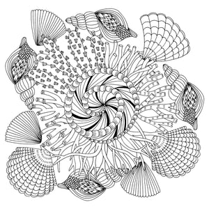 COLOURING BOOK | FOLLOW YOUR DREAMS-Books & Stationery-PETER PAUPER PRESS-Coriander