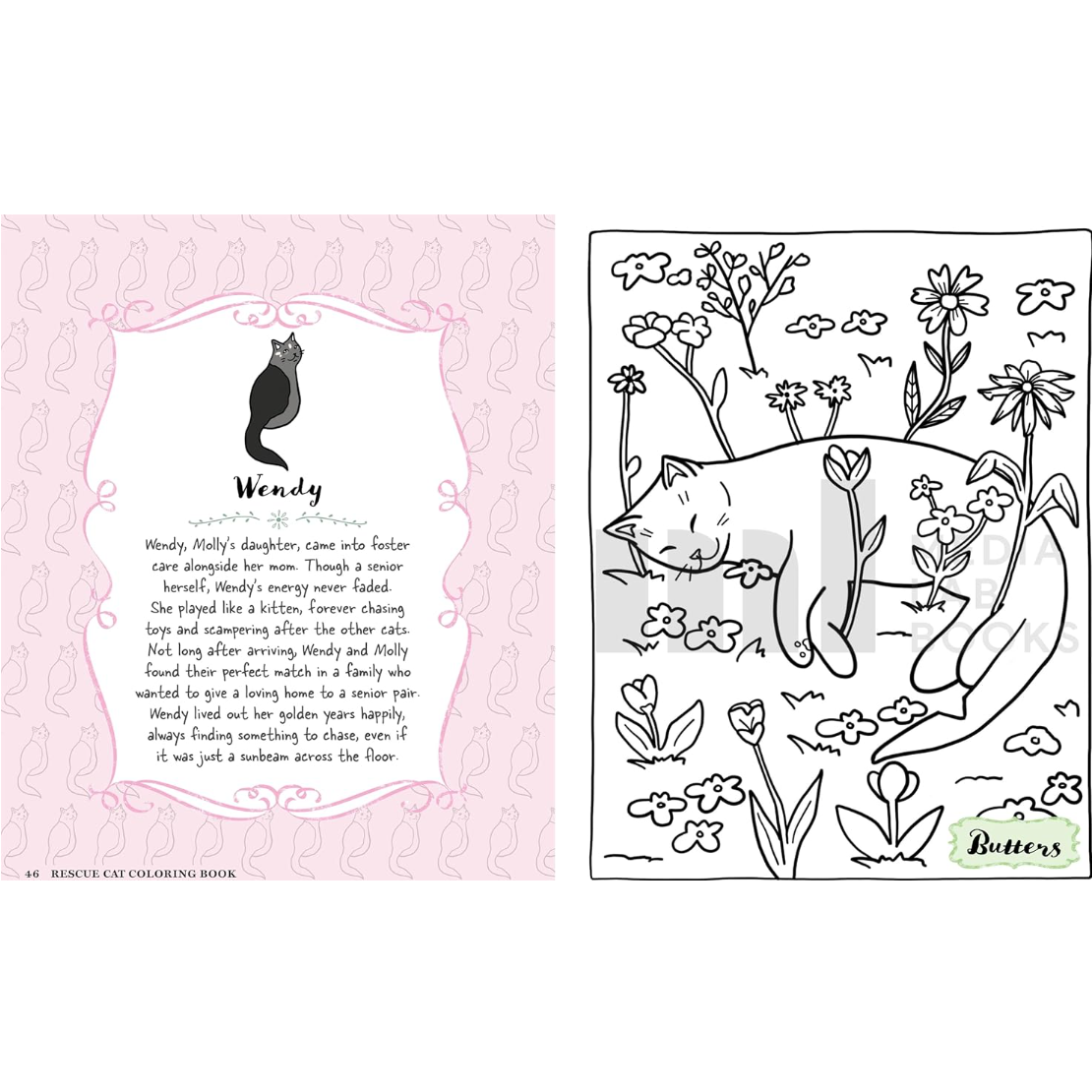 COLOURING BOOK | RESCUE CATS-Uncategorised-RAINCOAST-Coriander