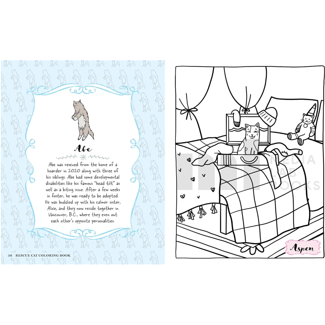 COLOURING BOOK | RESCUE CATS-Uncategorised-RAINCOAST-Coriander