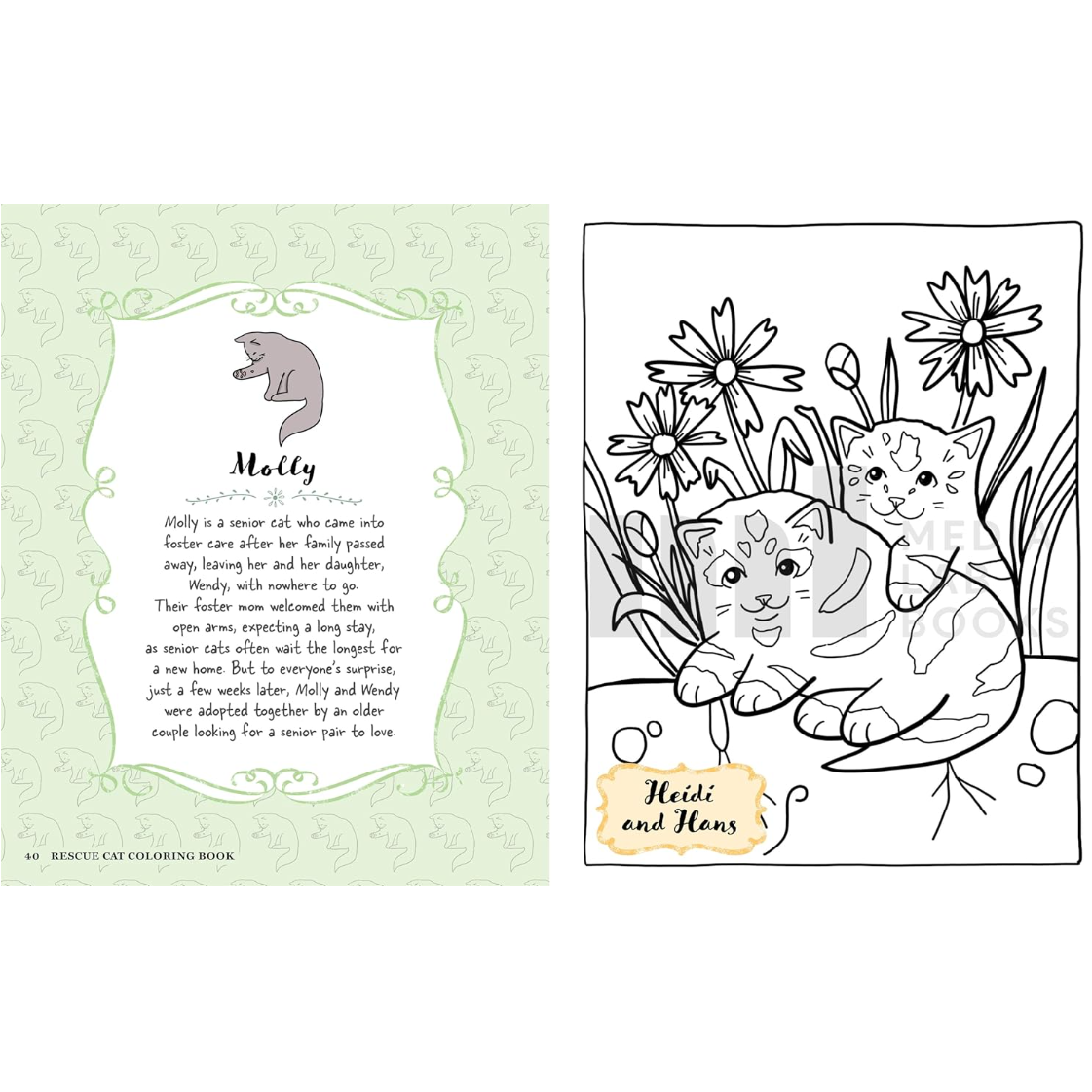COLOURING BOOK | RESCUE CATS-Uncategorised-RAINCOAST-Coriander