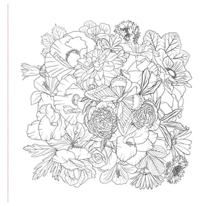COLOURING BOOK | WILDFLOWERS-Books & Stationery-PETER PAUPER PRESS-Coriander