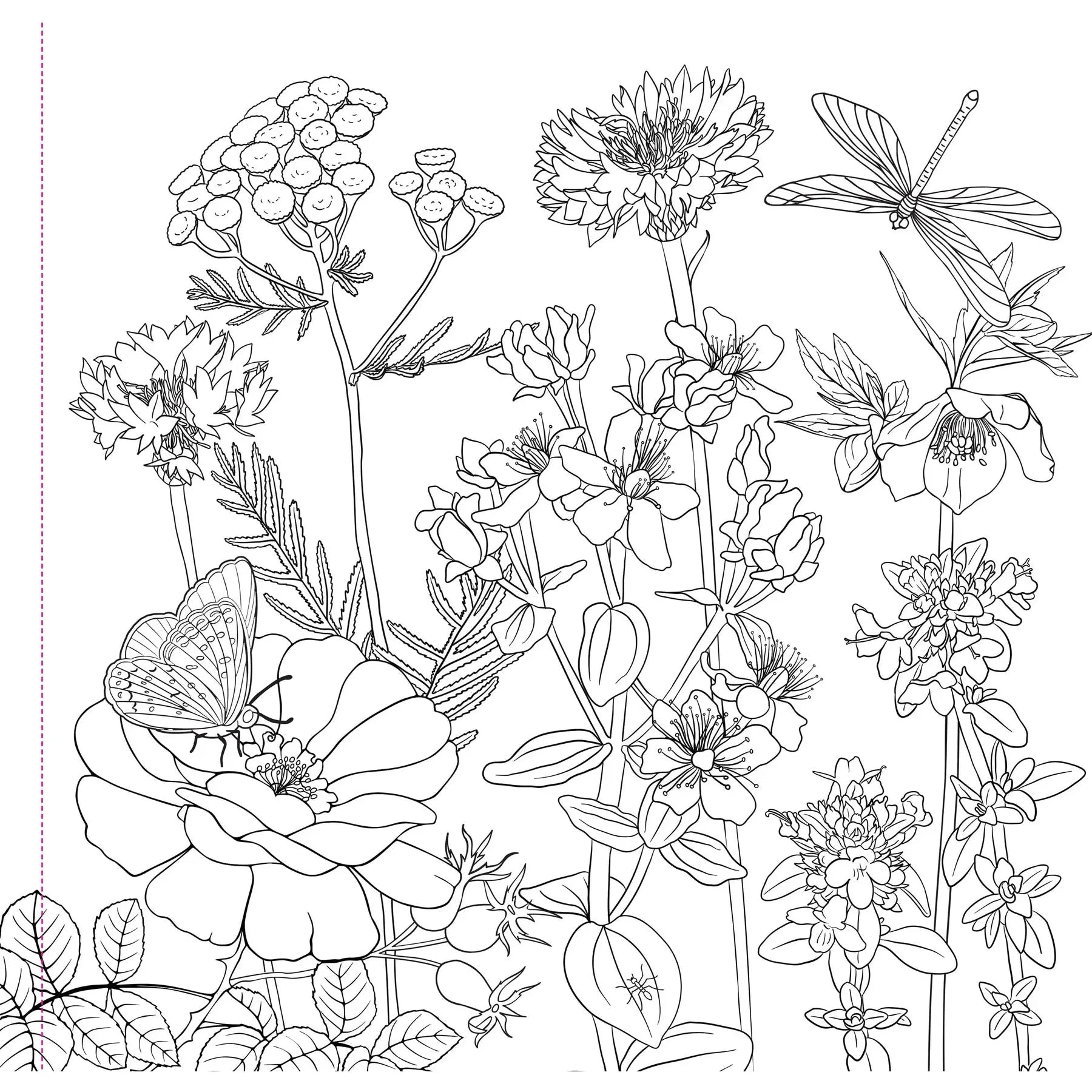 COLOURING BOOK | WILDFLOWERS-Books & Stationery-PETER PAUPER PRESS-Coriander