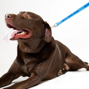DOG LEASH | BEST DOG EVER-Pet Accessory-PRETTY ALRIGHT GOODS-Coriander