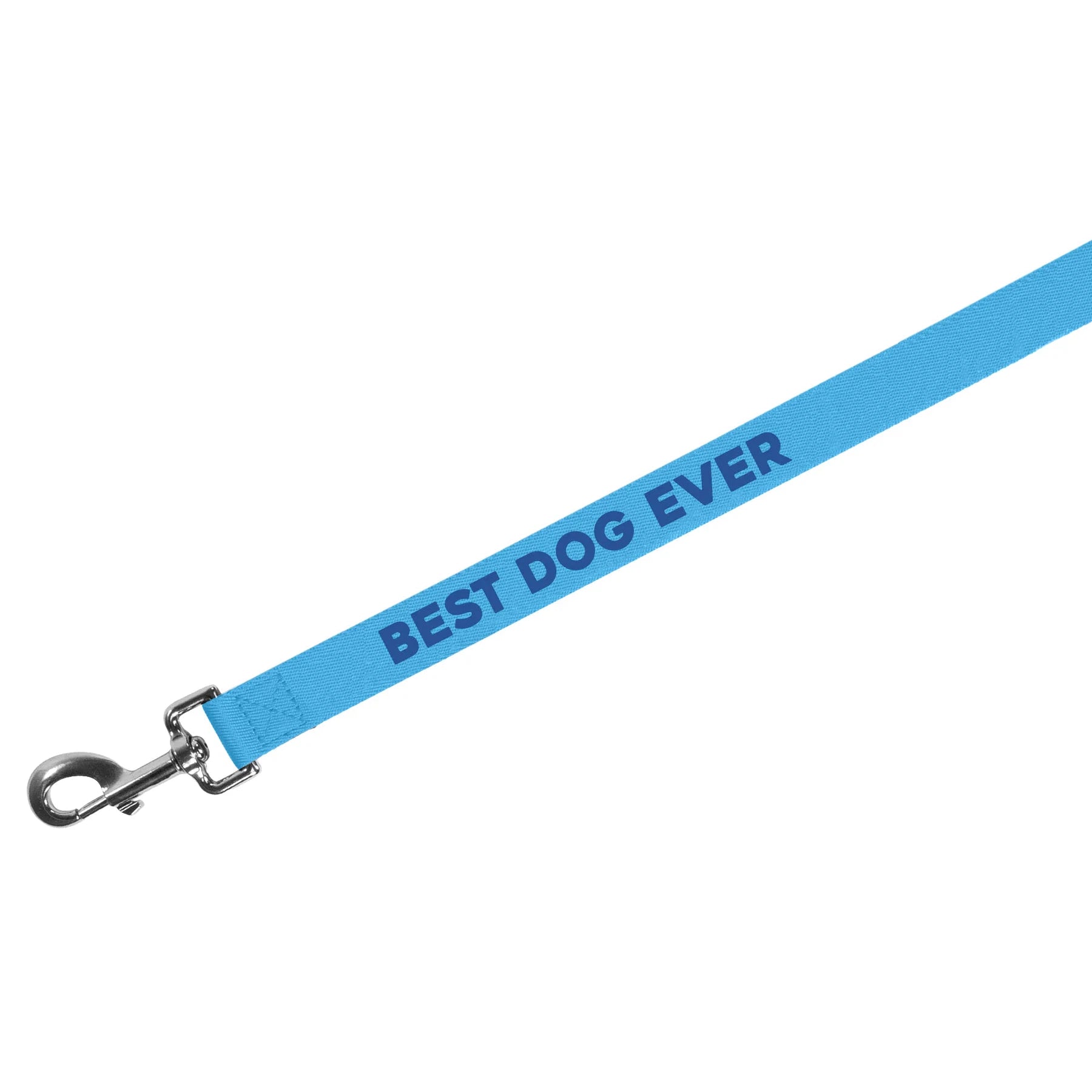DOG LEASH | BEST DOG EVER-Pet Accessory-PRETTY ALRIGHT GOODS-Coriander