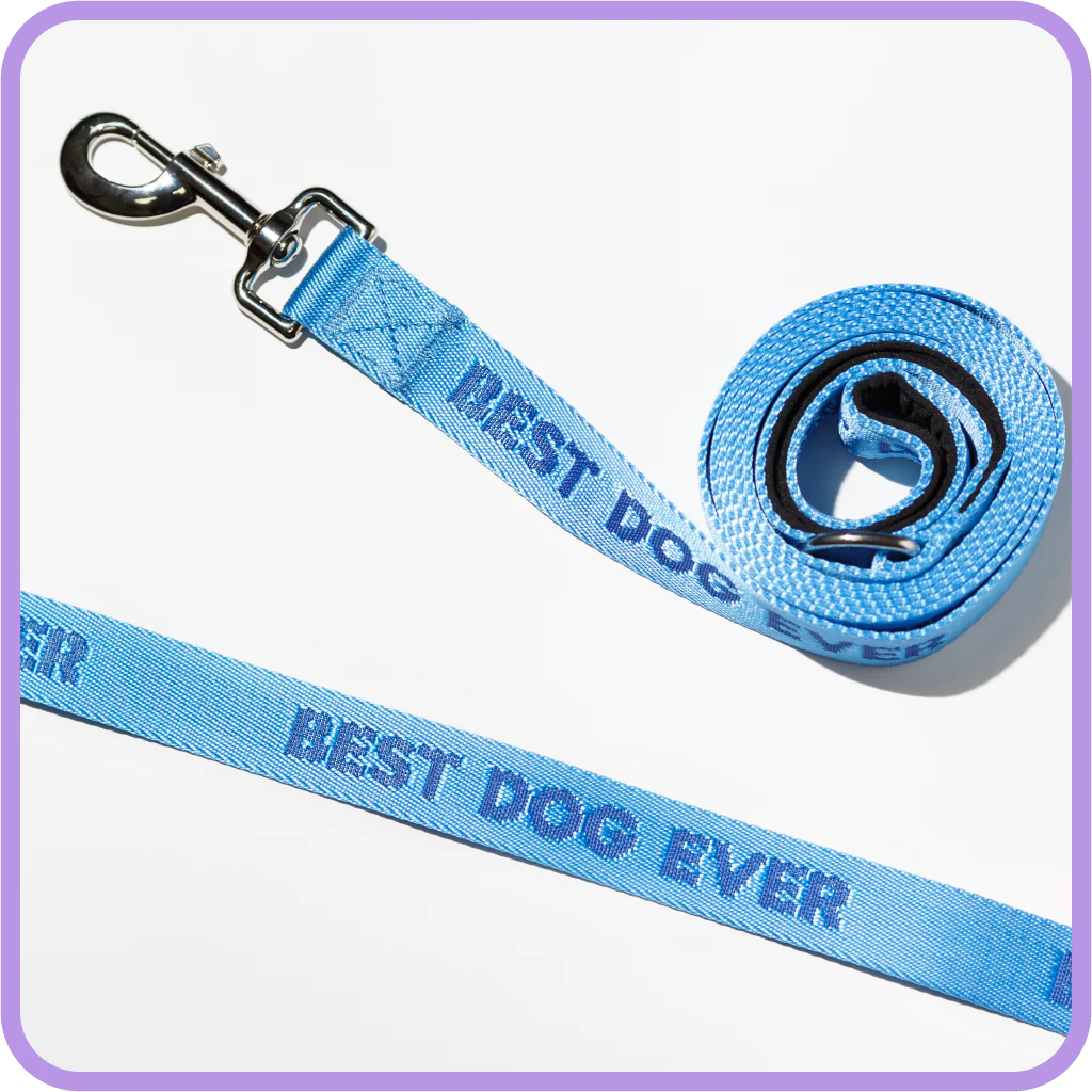 DOG LEASH | BEST DOG EVER-Pet Accessory-PRETTY ALRIGHT GOODS-Coriander