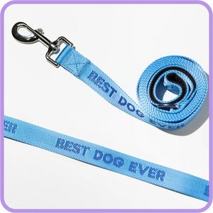 DOG LEASH | BEST DOG EVER-Pet Accessory-PRETTY ALRIGHT GOODS-Coriander