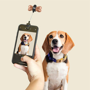 DOG TREAT SELFIE KIT-Gift-KIKKERLAND DESIGNS-Coriander