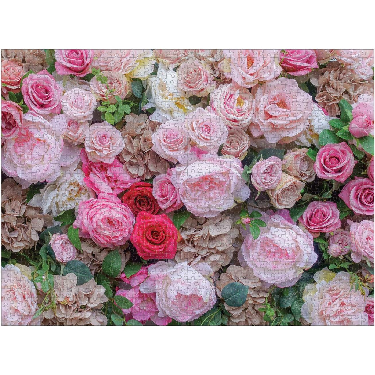 ENGLISH ROSES 1 000 PIECE PUZZLE-Fun and Games-RAINCOAST-Coriander