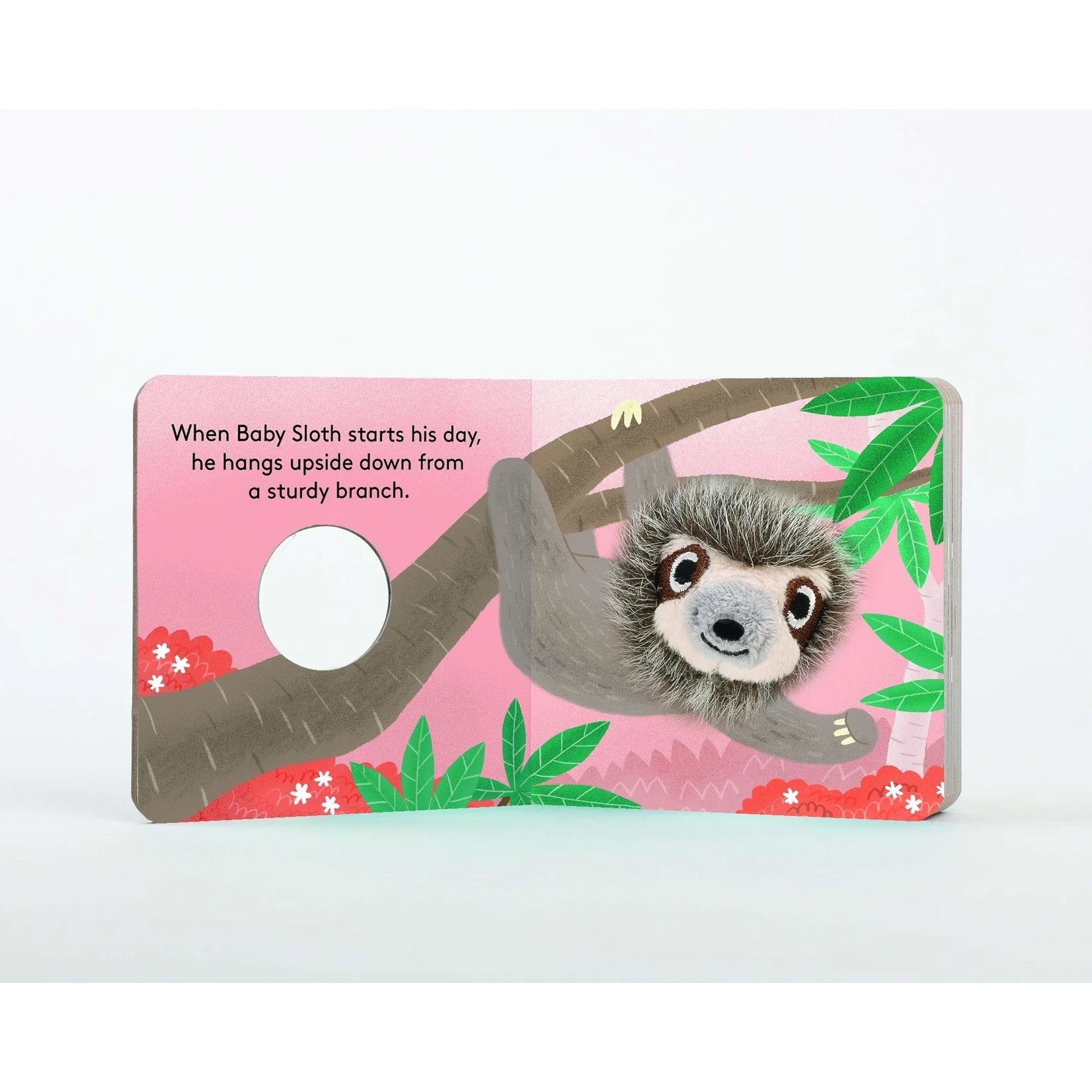 FINGER PUPPET BOOK | BABY SLOTH-Puppet-RAINCOAST-Coriander