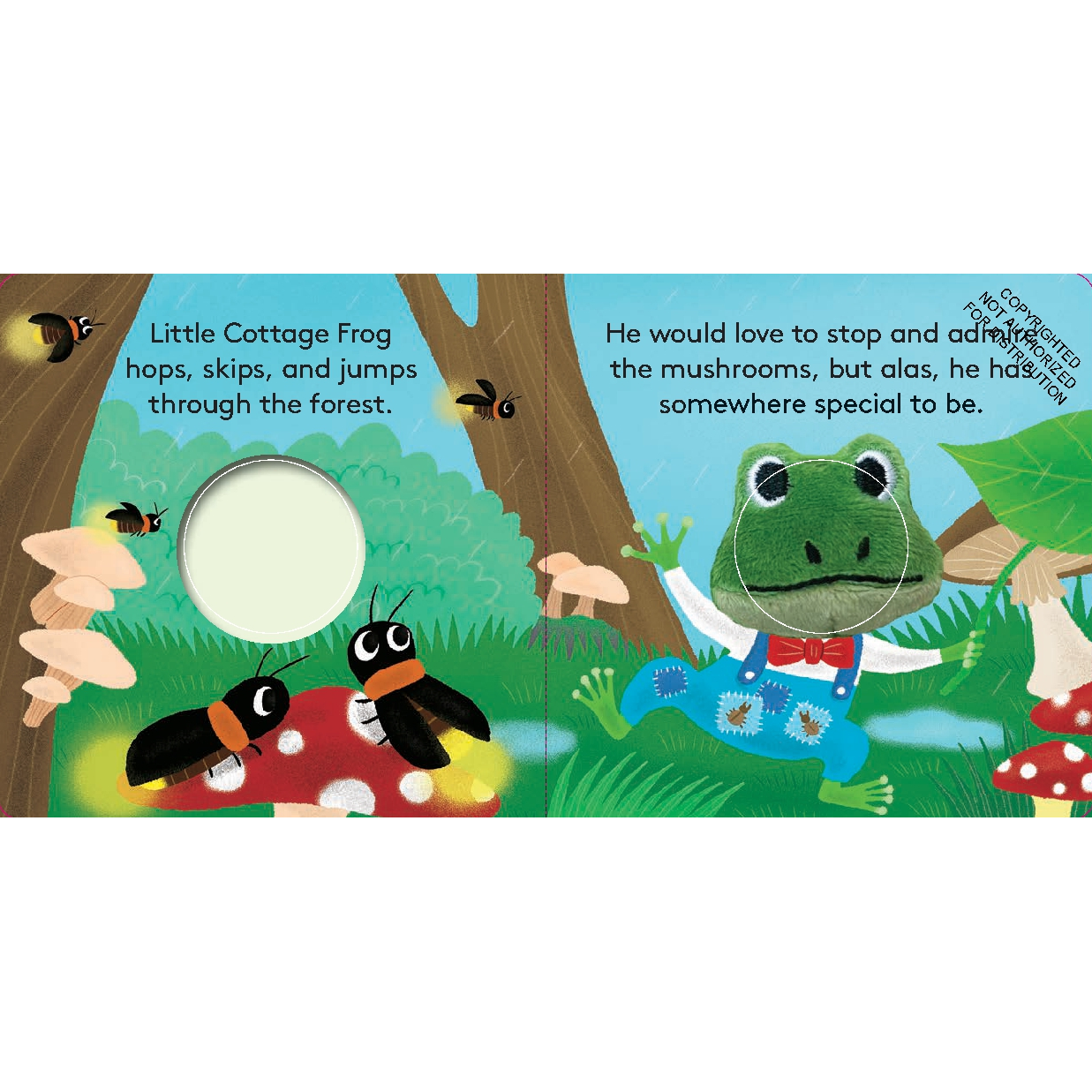 FINGER PUPPET BOOK | LITTLE COTTAGE FROG-Uncategorised-RAINCOAST-Coriander