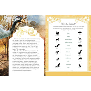 FLORA, FAUNA, BOTANICAL & BEES STICKER & ACTIVITY BOOK-Books & Stationery-HACHETTE BOOK GROUP-Coriander