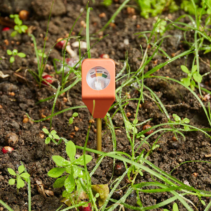 GARDEN HYDROMETER-Gift-KIKKERLAND DESIGNS-Coriander