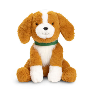GIFT SET | WITH MY DOG-Books & Stationery-COMPENDIUM-Coriander