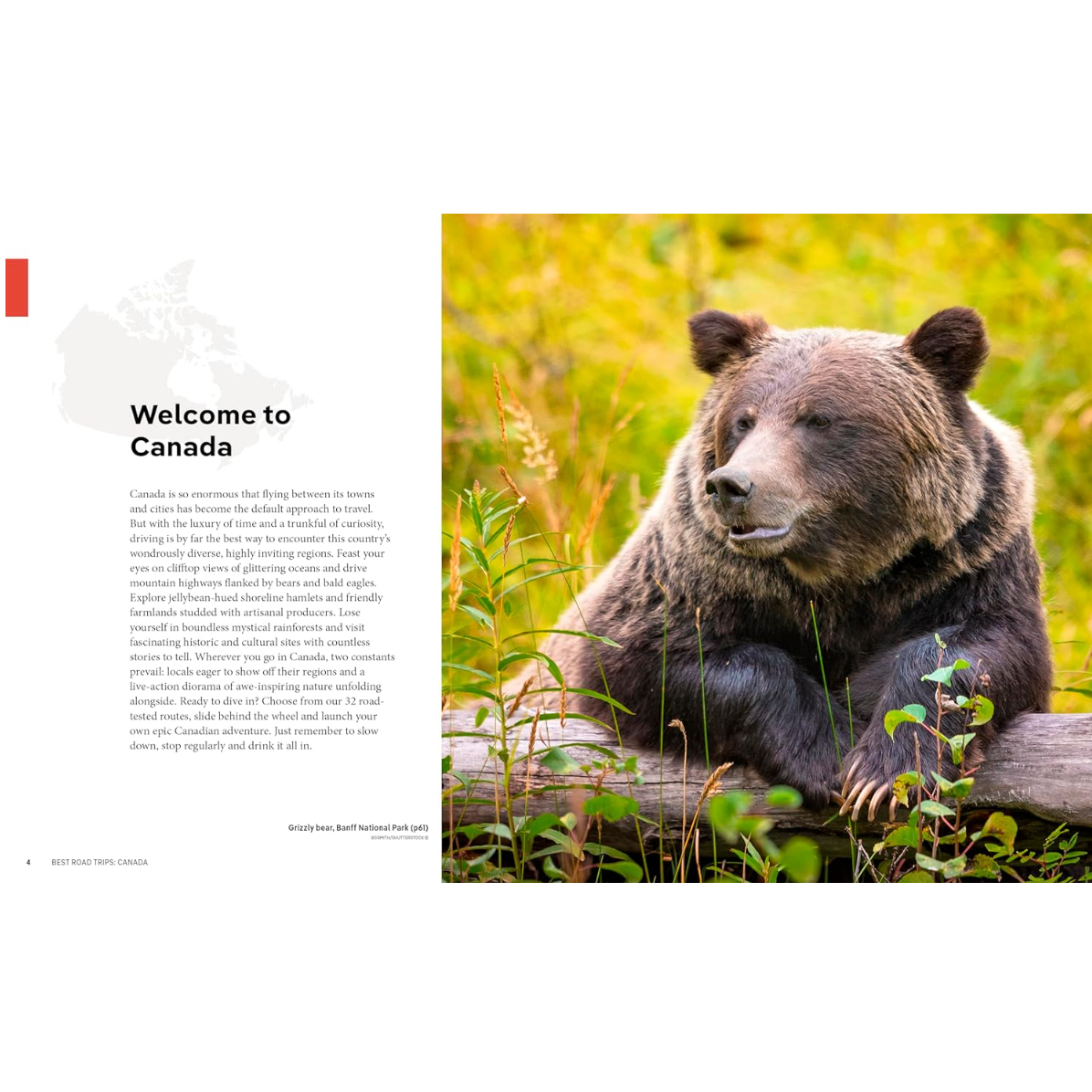 GUIDE BOOK | BEST CANADA ROAD TRIPS-Uncategorised-RAINCOAST-Coriander