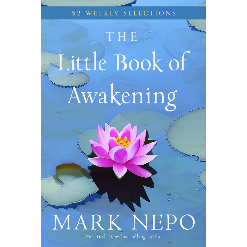 HARDCOVER BOOK | LITTLE BOOK OF AWAKENING-Uncategorised-RAINCOAST-Coriander