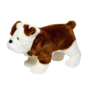 HARDY THE BULLDOG-Stuffies-DOUGLAS-Coriander