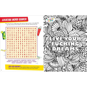 IT'S ALL F*CKING FUN AND GAMES-Books & Stationery-PETER PAUPER PRESS-Coriander